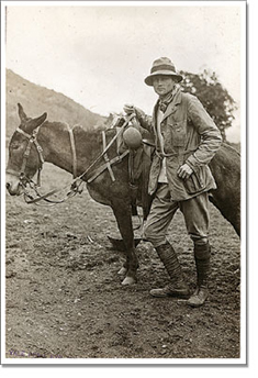 Hiram Bingham with mule