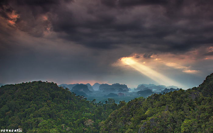 Amazon Rainforest Landscape–home to nearly eighty uncontacted tribes