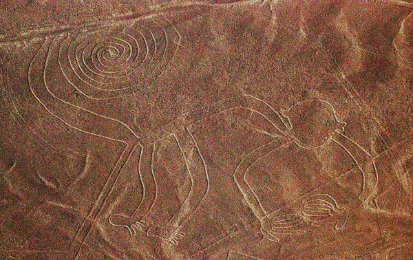 The image of a monkey, one of many figures among the giant Nazca Lines of Peru