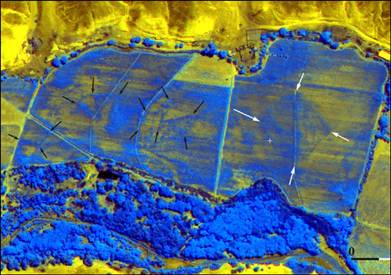 A satellite image of the recently-discovered pyramid near Cahuachi, Peru, indicated by the white arrows