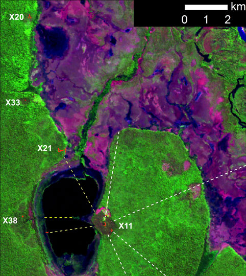 A satellite image shows ancient, recently-discovered Amazonian settlements thought to form a previously unknown type of metropolis never seen elsewhere in the world and hidden until recently in the Brazilian jungle.  Revealed by overgrown earthworks, the 100 square-mile urban units consist of clusters of interconnected villages ranging from 50-150 acres in size. The town-nodes were apparently arranged amid a highly-regular pattern of roads built around a central plaza about 500 feet across. The Amazonian cities appear to have been at their height between the 13th and 17th centuries.