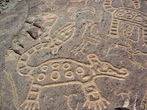 Toro Muerto Rock Art Majes Valley Southern Peru